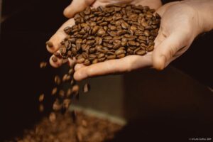 Полный спектр вкусового наслаждения: Что делает кофе в зернах особенным?